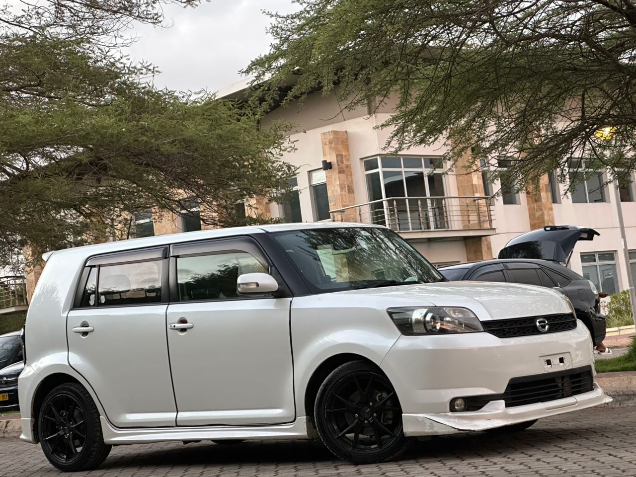 COROLLA RUMION